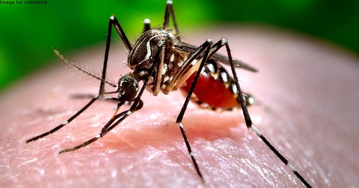 Delhi reports 16 cases of dengue in July, total tally 159 this year